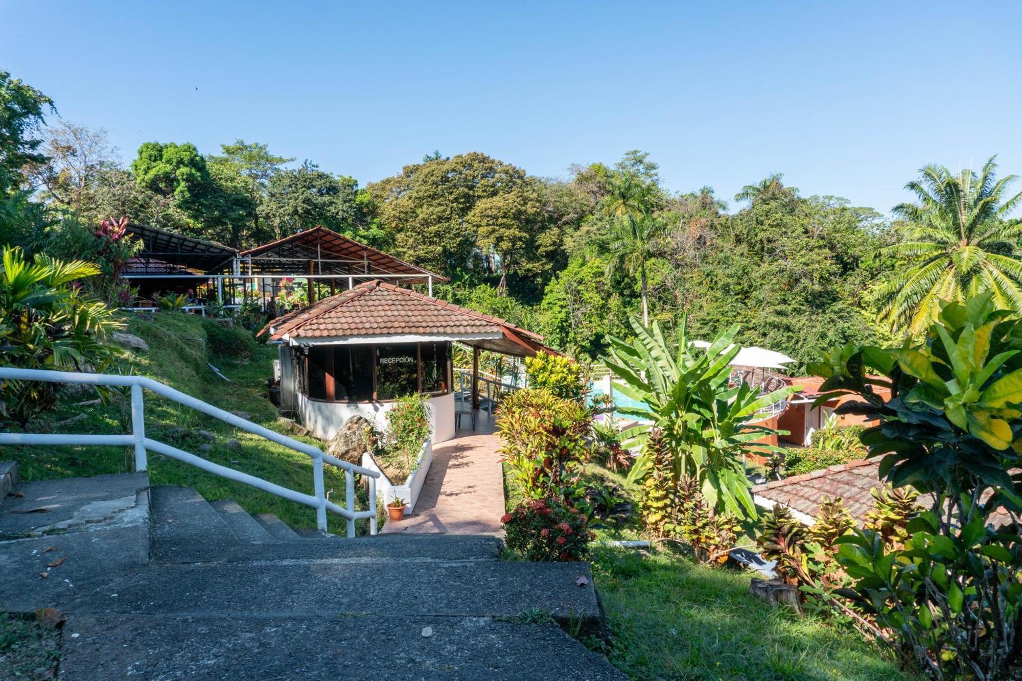 Hotel Bongo - Adults Only Manuel Antonio Exteriér fotografie